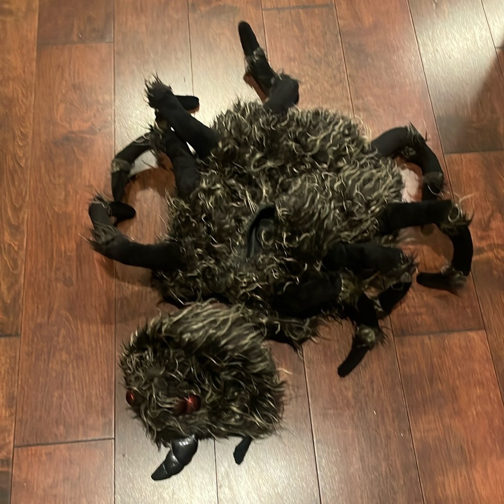 Spider Halloween costume